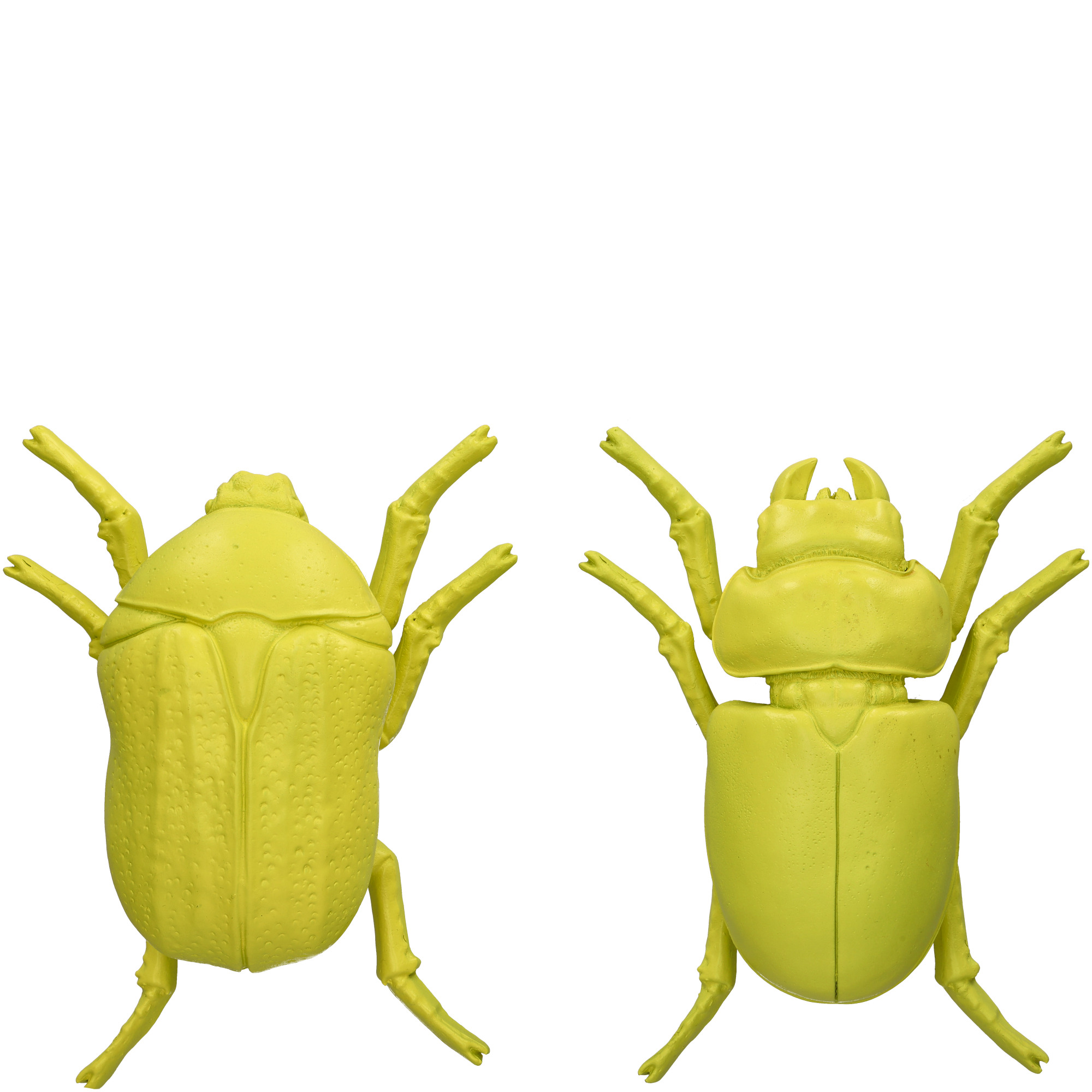  Poly Käfer Lorenz, 2 Motive, D15,5cm, H7,5cm, gelb